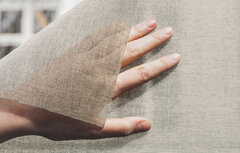 Proefstaaltje: Squid Oak